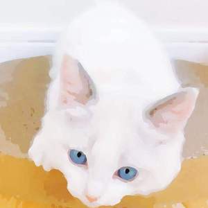 内射性感女老师
