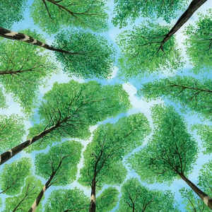 内射性感女老师
