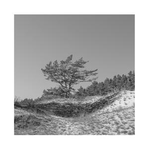 内射性感女老师
